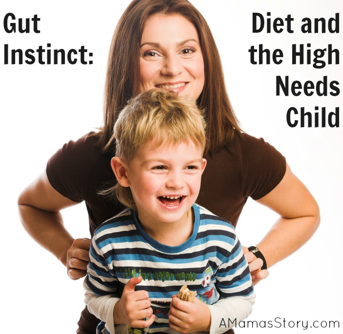 Gut Instinct: Diet and the High Needs Child