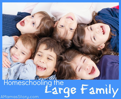 Homeschooling the Large Family