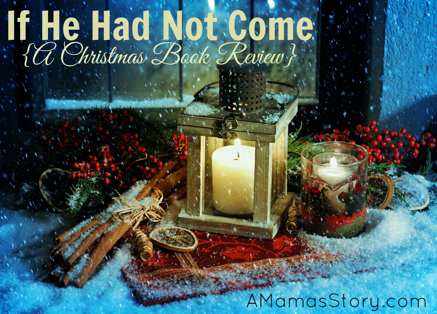 If He Had Not Come {A Christmas Book Review}