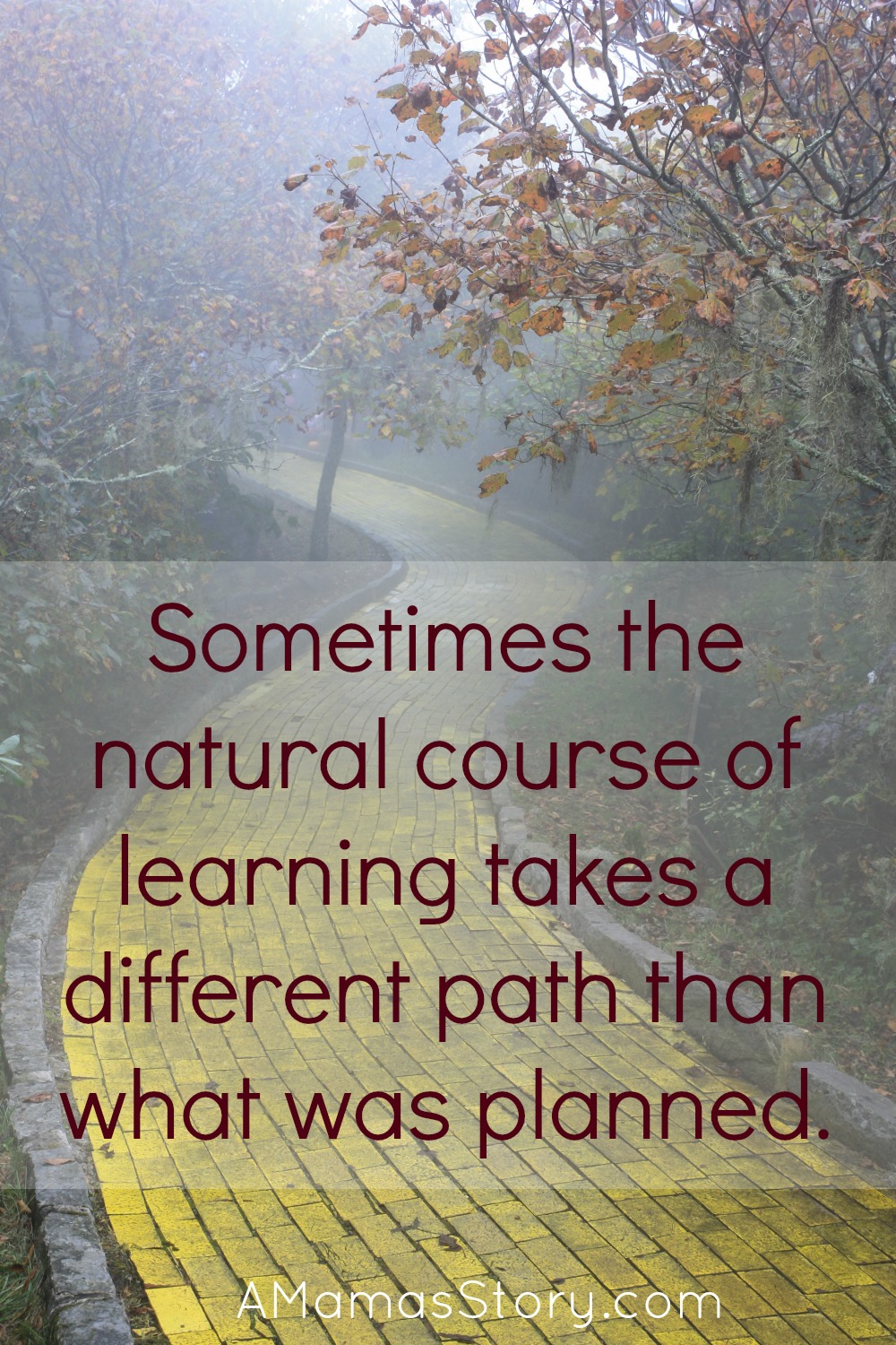 A Natural Learning Initiative