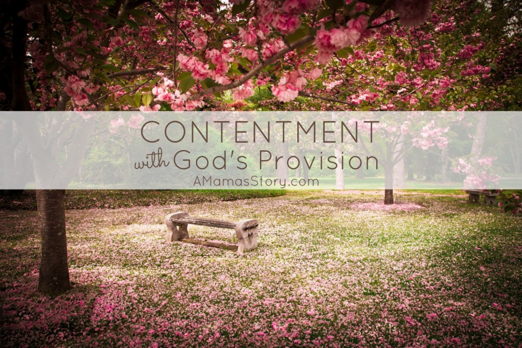 Contentment with God's Provision