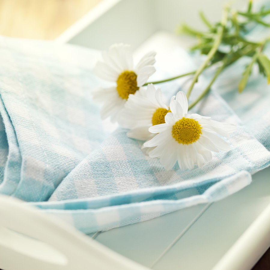 Natural Homemaking E-Course {Plus $200 Value Gift Bundle Giveaway}