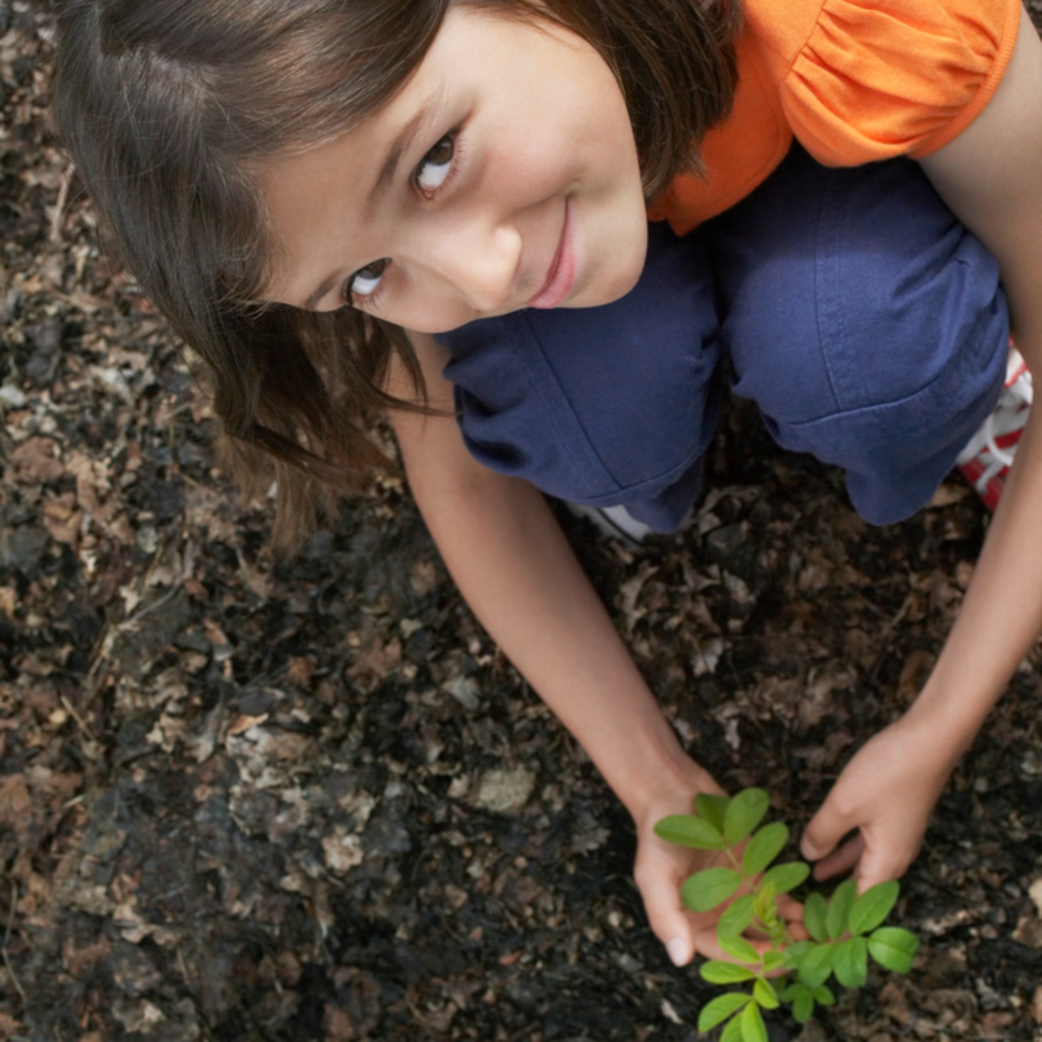 6 Plants Perfect for Kids to Grow